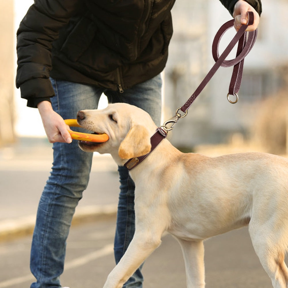 Brugerdefineret hundehalsbåndsæt i læder personligt kæledyrshalsbånd gratis indgraveret navneskilt custom